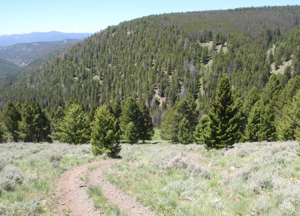 we can see the bottom of the downhill tracks.